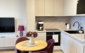 Apartament Premium Zamkowa C09